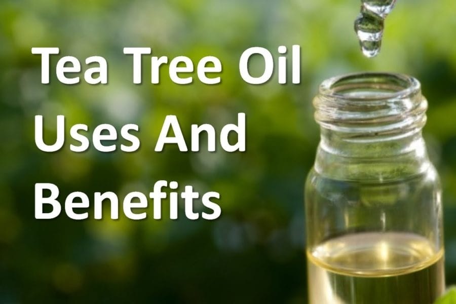 The Benefits of Organic Tea Tree Oil in Skincare and Haircare
